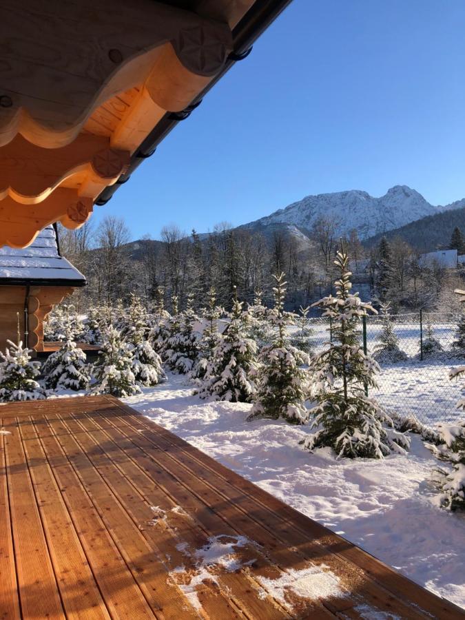 Sniezna Dolina - Sobiczkowa Bor Luxury Chalets Kościelisko Εξωτερικό φωτογραφία