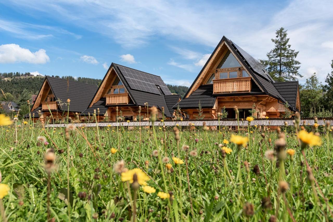 Sniezna Dolina - Sobiczkowa Bor Luxury Chalets Kościelisko Εξωτερικό φωτογραφία